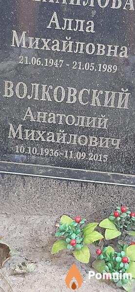 Волковский Анатолий Михайлович