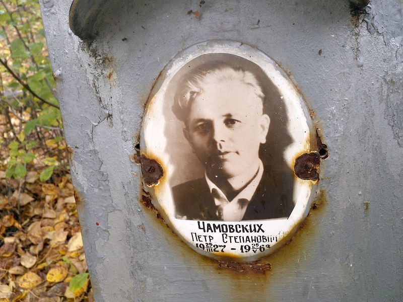 Чамовских