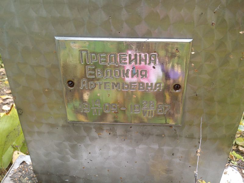 Предеина