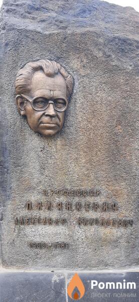 Пилянкевич Александр Николаевич