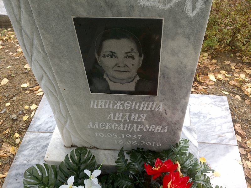 Пинженина