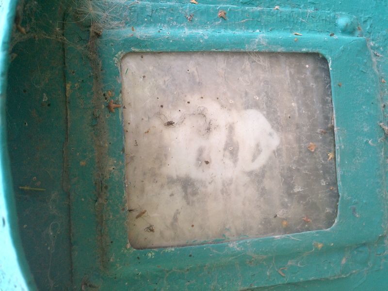 Тимачев
