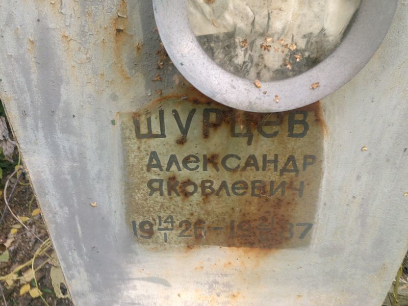 Шурцев