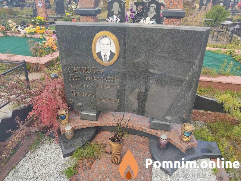 Сенюто Лев Николаевич