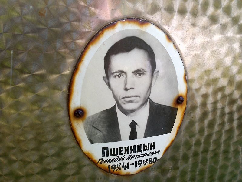 Пшеницын