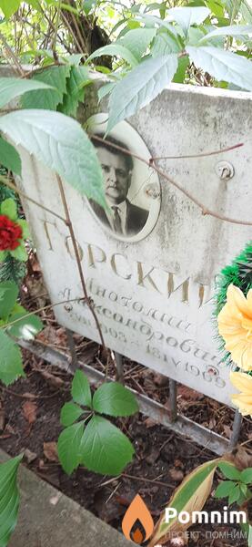 Горский Анатолий Александрович