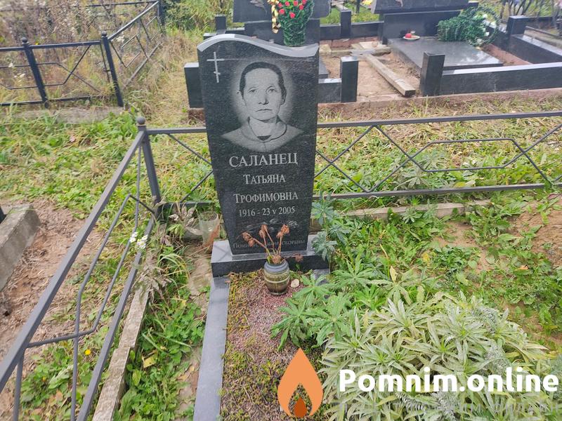 Саланец Татьяна Трофимовна