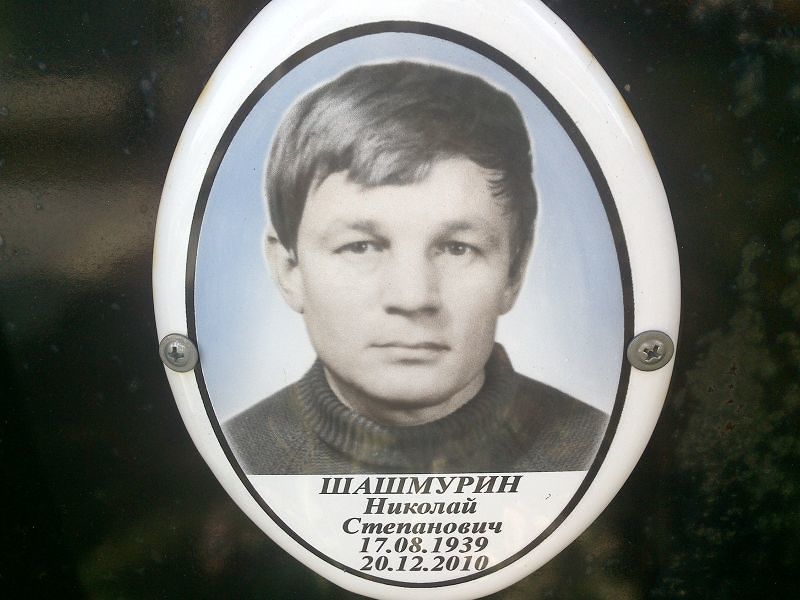 Шашмурин