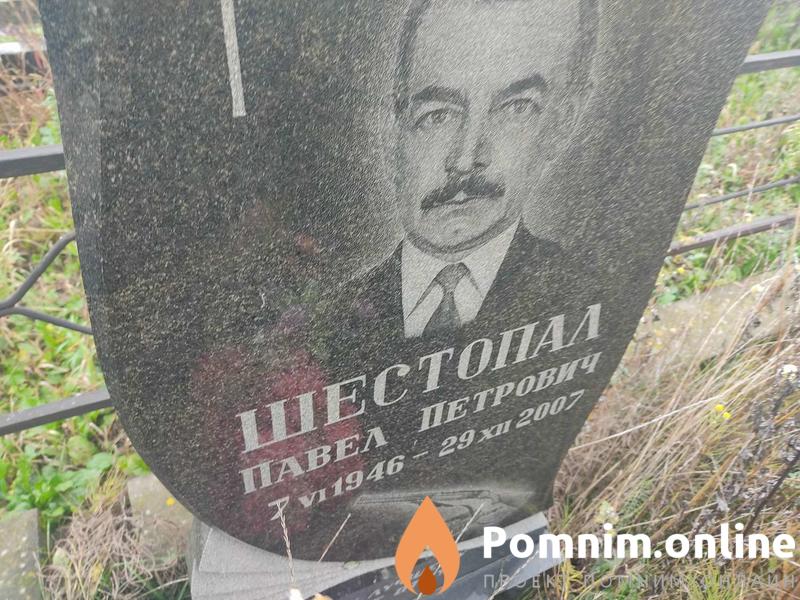 Шестопал Павел Петрович