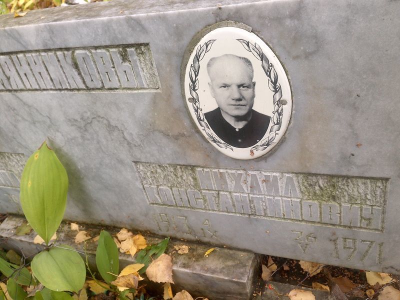 Семянников
