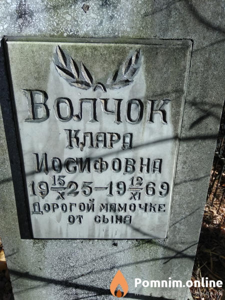 Волчок Клара Иосифовна