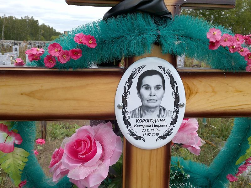 Корогодина