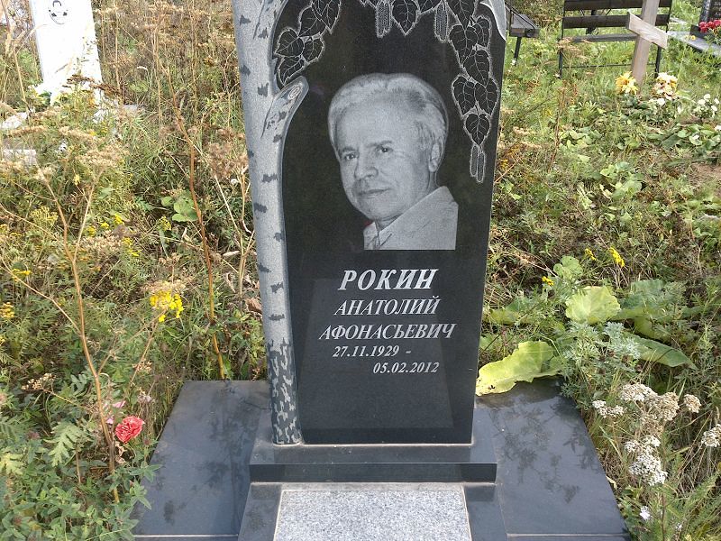 Рокин