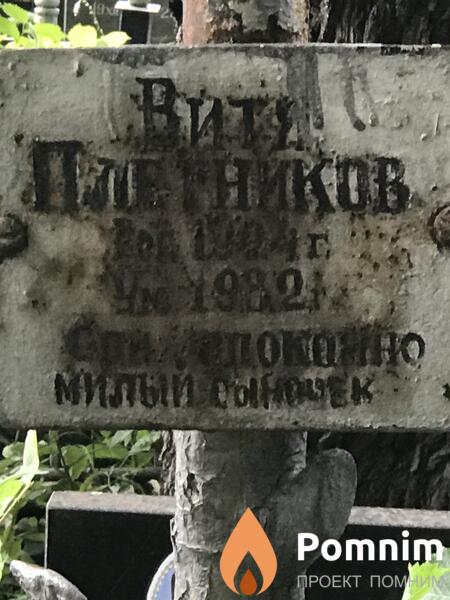 Плетников Витя
