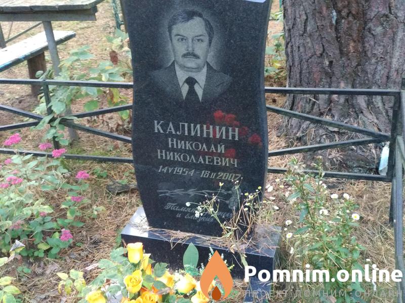 Калнин Николай Николаевич