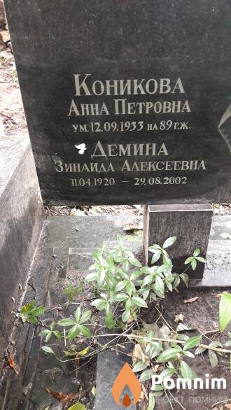 Коникова Анна Петровна
