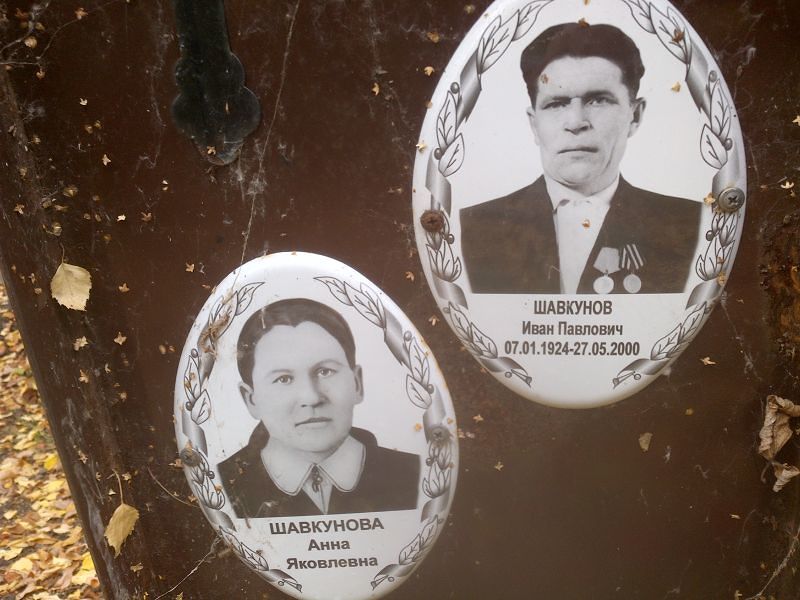 Шавкунов