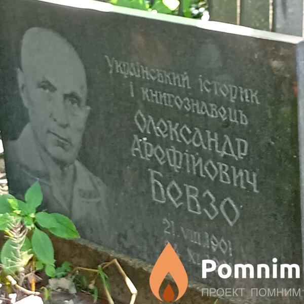 Бевзо Александр Арефьев