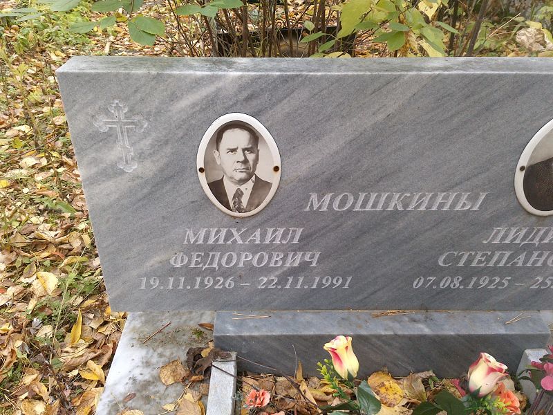 Мошкин