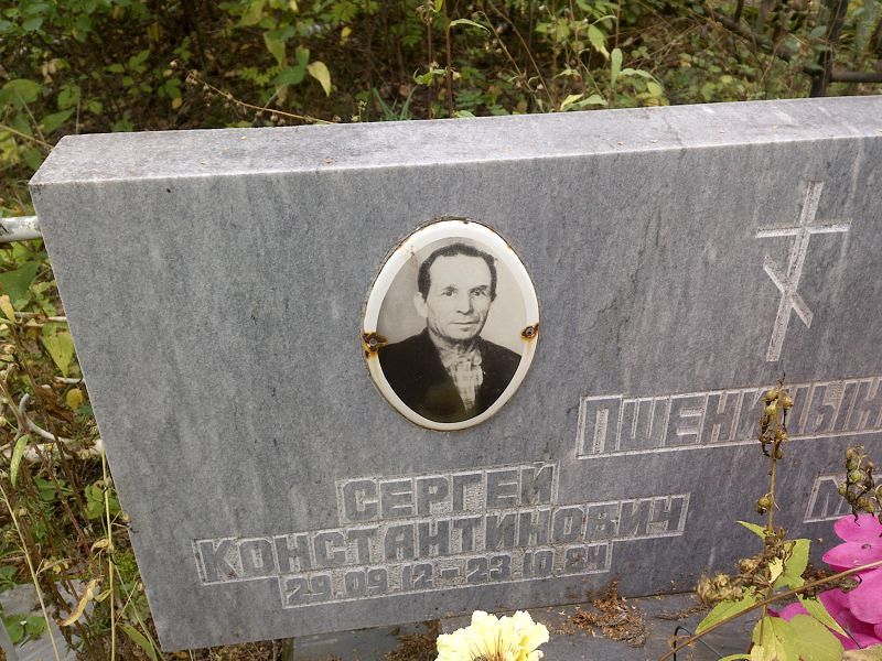 Пшеницын