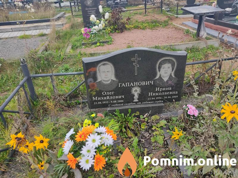 Гапанович Ирина Николаевна