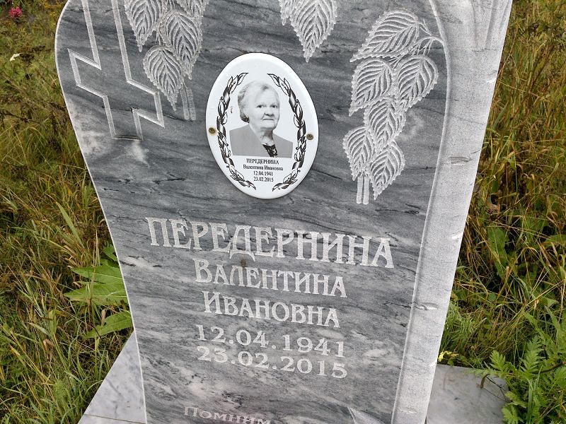 Передернина