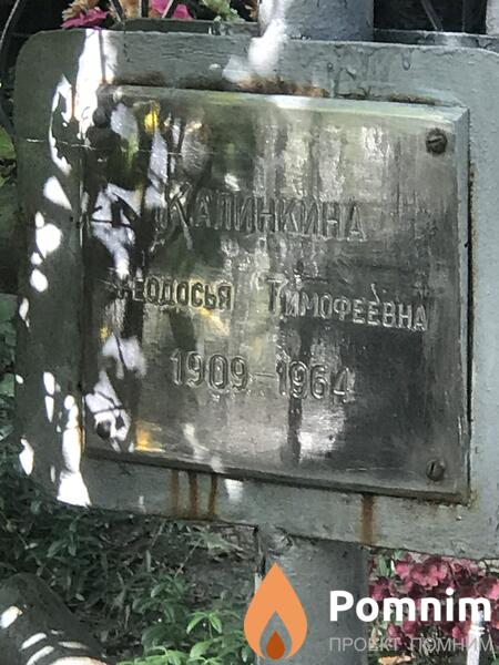 Калинкина Феодосия Тимофеевна