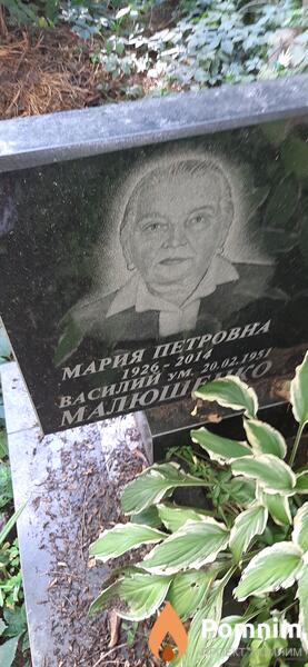 Малюшенко Василий