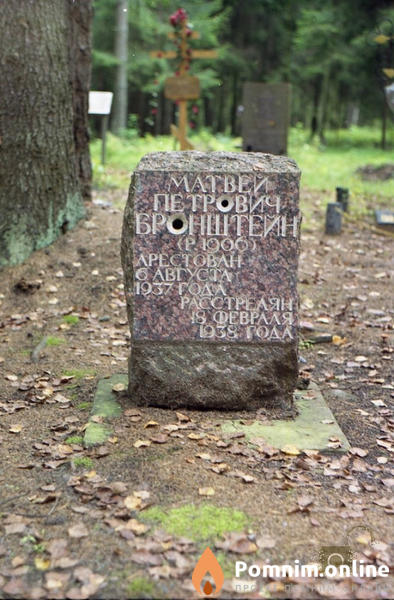 Бронштейн Матвей Петрович
