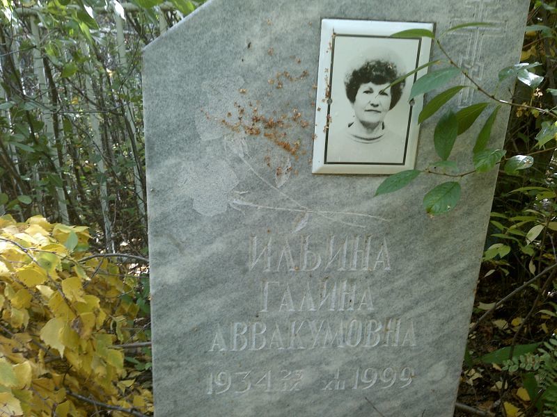 Ильина
