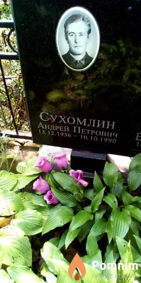 Сухомлин Андрей Петрович