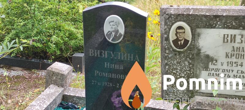 Визгулин Анатолий Кронидович