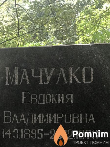 Мачулко Евдокия Владимировна