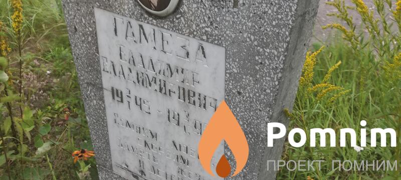 Гамеза Владимир Владимирович