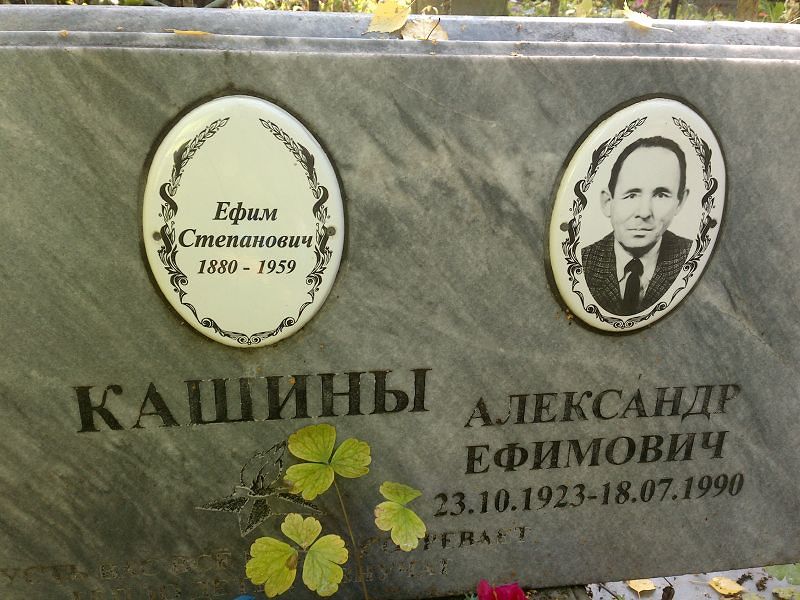 Кашин