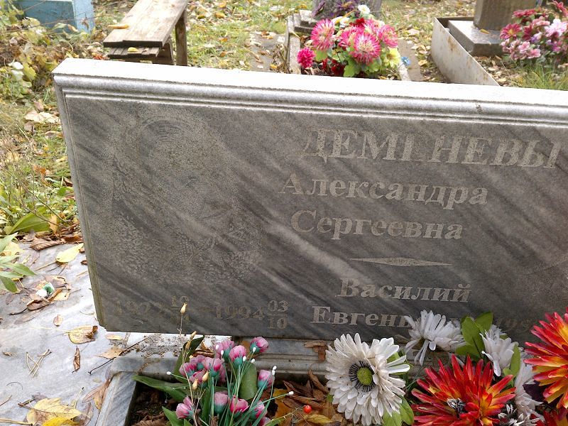 Деменева Александра Сергеевна