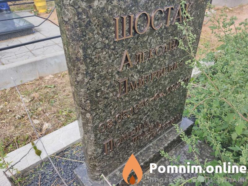 Шостак Александр Дмитриевич