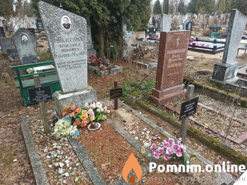 Петровский Николай Васильевич