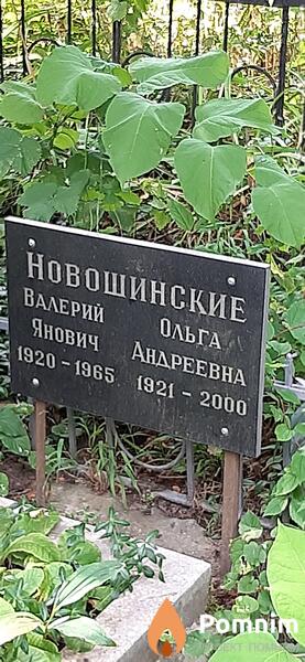 Новошиннский Валерий Янович