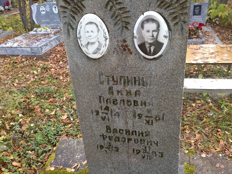 Ступина