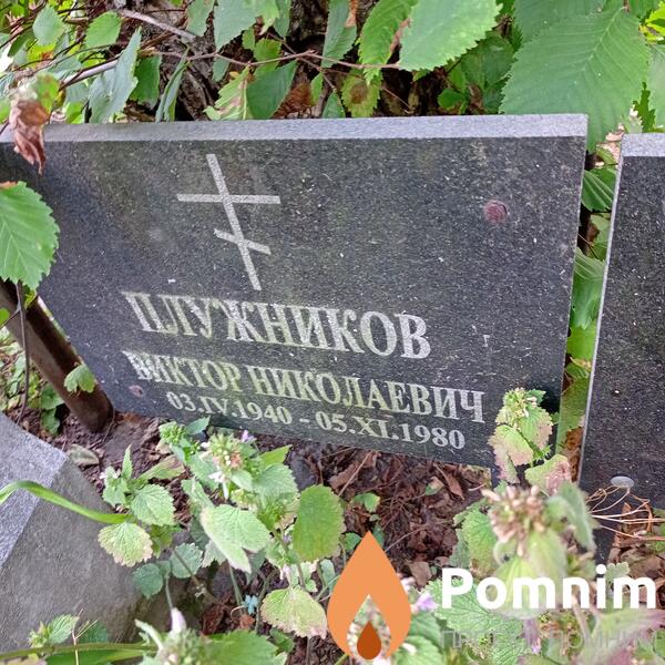 Плужников Виктор Николаевич