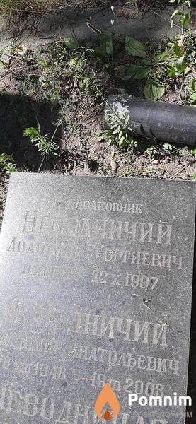 Неводничий Анатолий Георгиевич