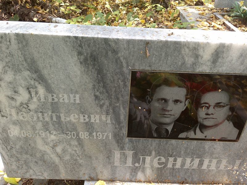 Пленин