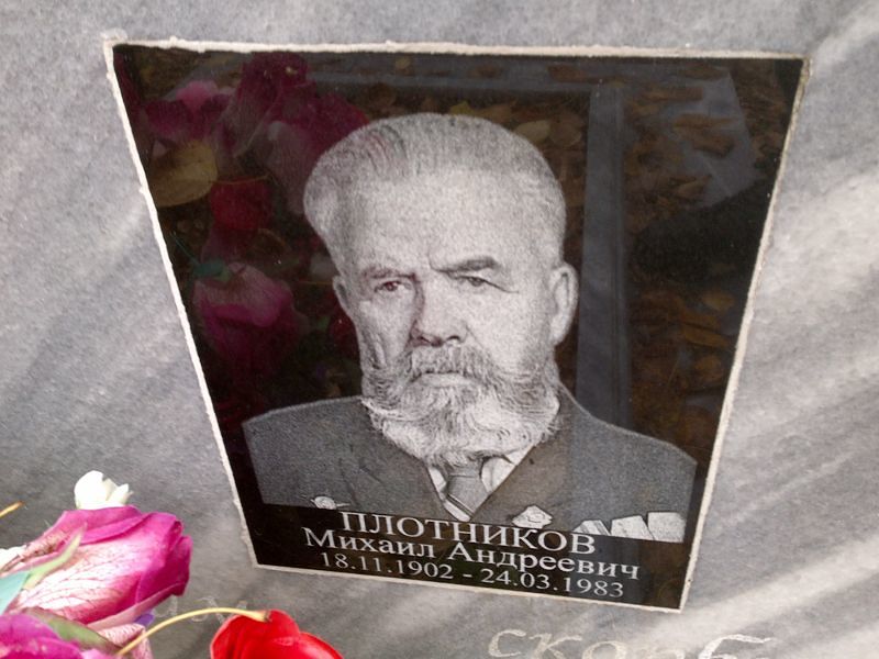 Плотников