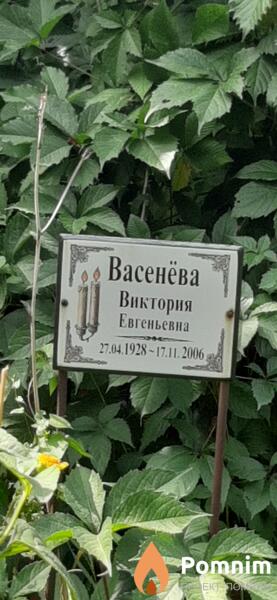 Васенёва Виктория Евгеньевна