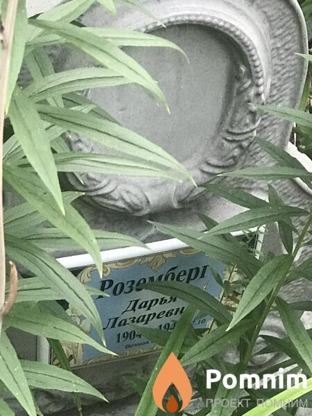 Розомберг Дарья Лазареви
