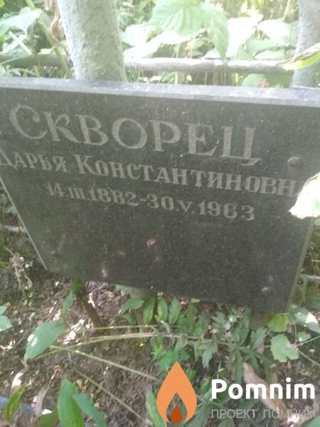 Скворец Дарья Константиновна