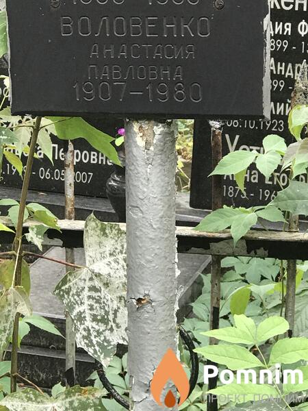 Воловенко Анастасия Павловна