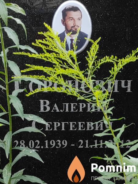 Горонович Валерий Сергеевич