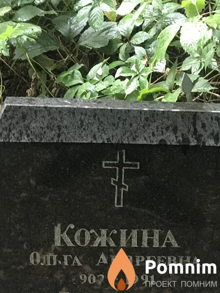 Кожина Ольга Андреевна